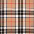 Camel Thomson Tartan