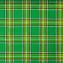Irish Green Tartan