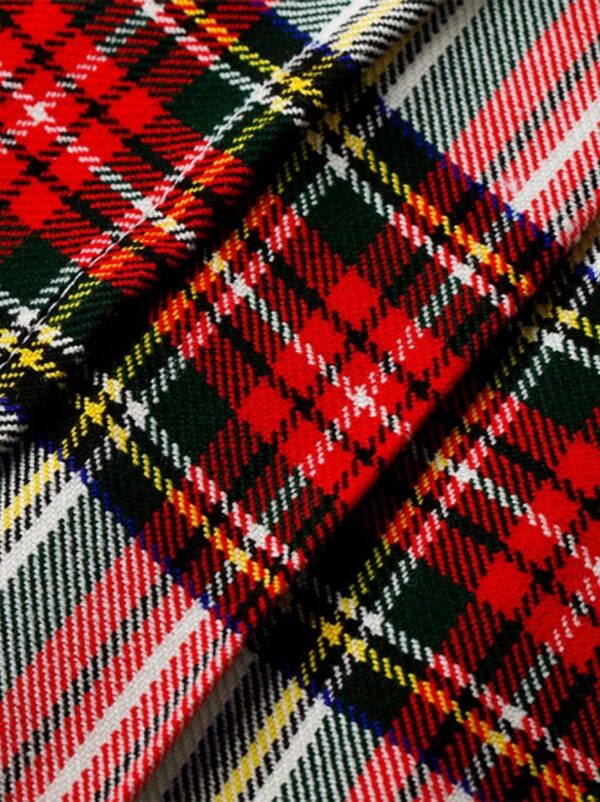 Women Dress Stewart Mini Tartan Skirt - Image 4
